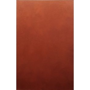 Robert Bergsaker - �st og vest for Brahmaputra