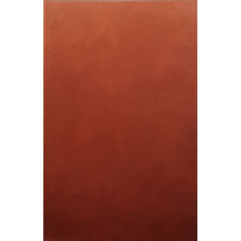 Robert Bergsaker - �st og vest for Brahmaputra