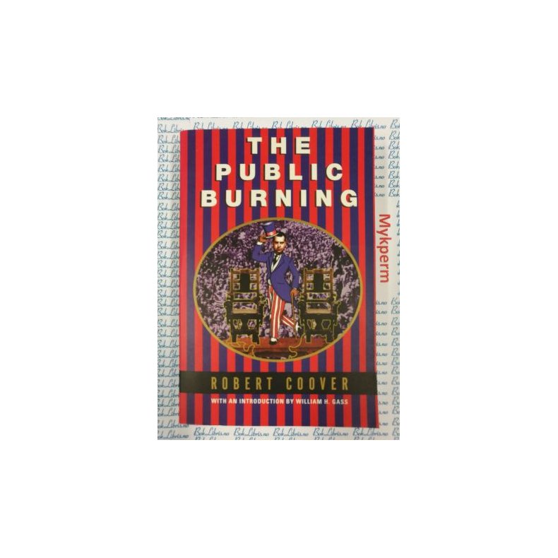 Robert Coover - The public burning