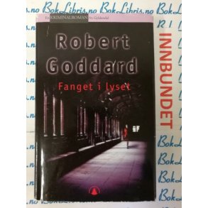 Robert Goddard - Fanget i lyset (I)