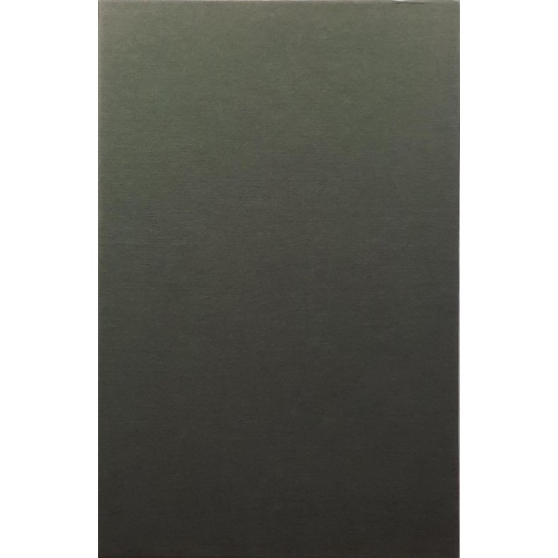 Rolf Brandrud - Drmmejegeren - En Mikkjel Fnhus biografi