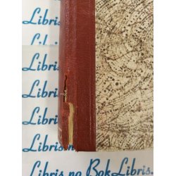 Rolv Thesen - Ein diktar og hans strid (I)