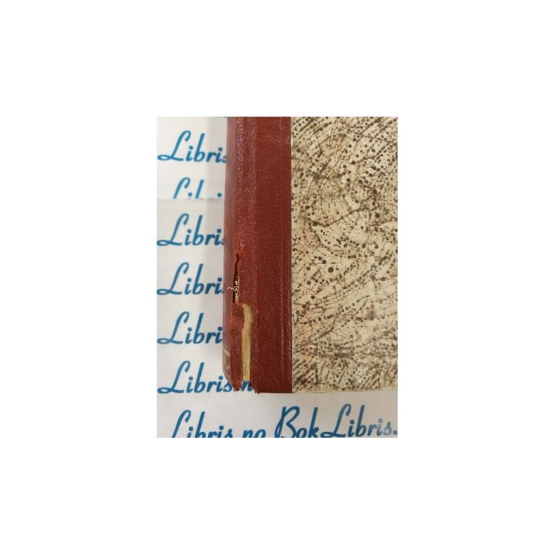 Rolv Thesen - Ein diktar og hans strid (I)