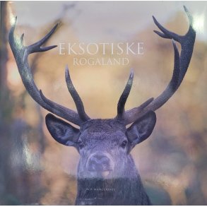 Roy Mangersnes - Eksotiske Rogaland