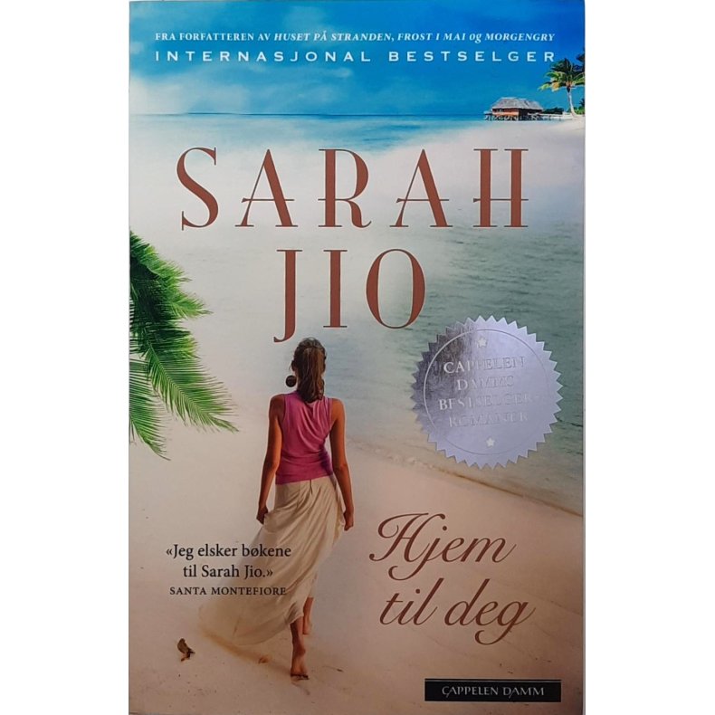 Sarah Jio - Hjem til deg (Heftet)