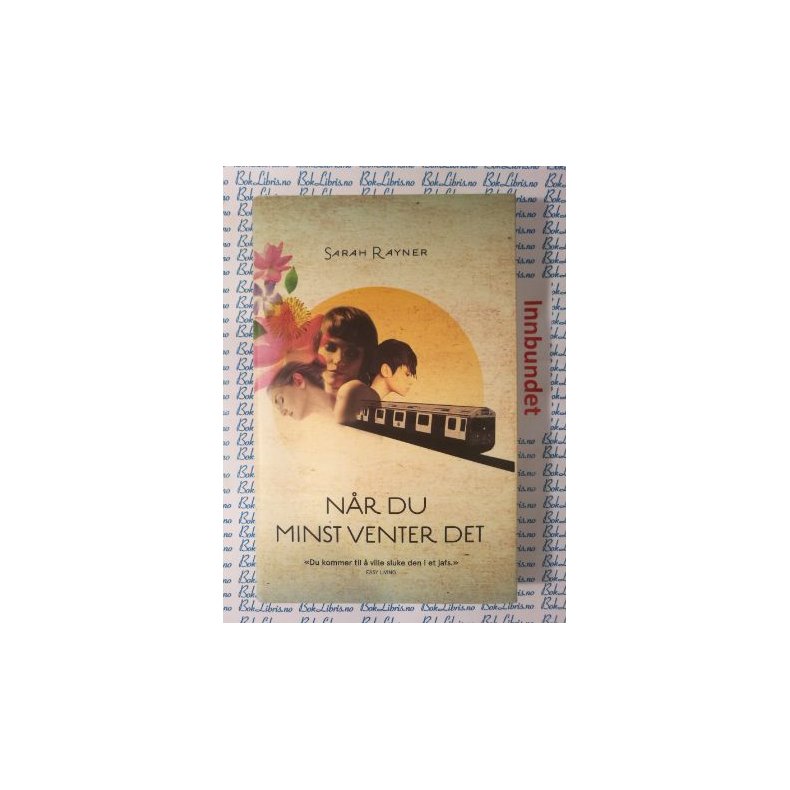Sarah Rayner - Nr du minst venter det