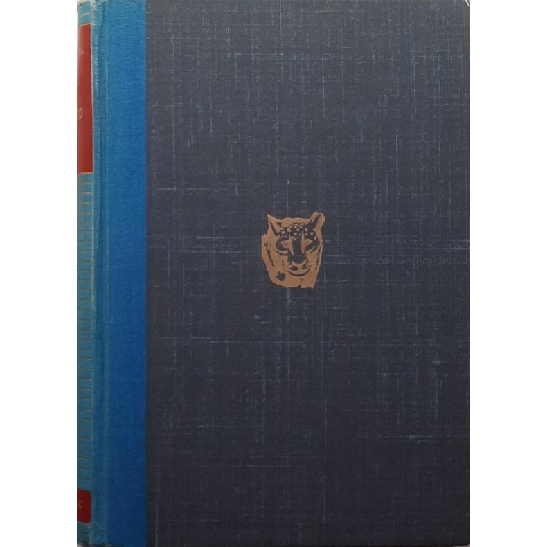 Sasha Siemel - Tigero