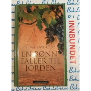 Sema Kaygusuz - En bnn faller til jorden (I)