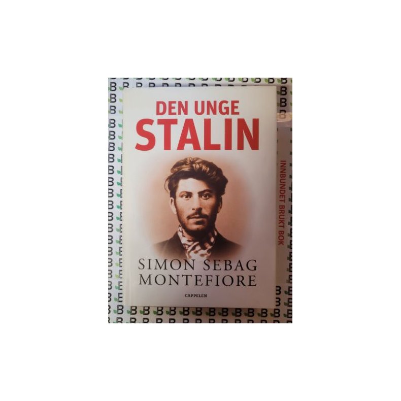 Simon Sebag Montefiore - Den unge Stalin