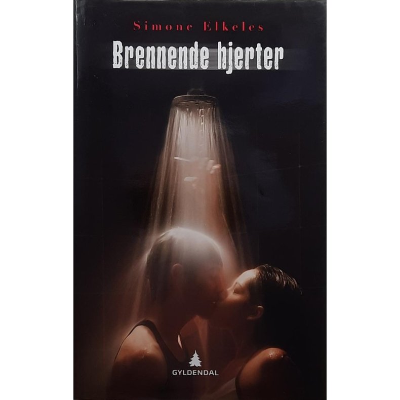 Simone Elkeles - Brennende hjerter