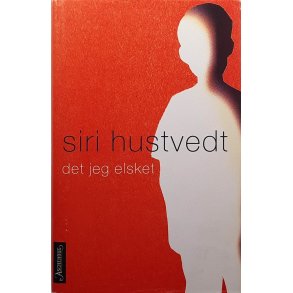 Siri Hustvedt - Det jeg elsket (Innb.)