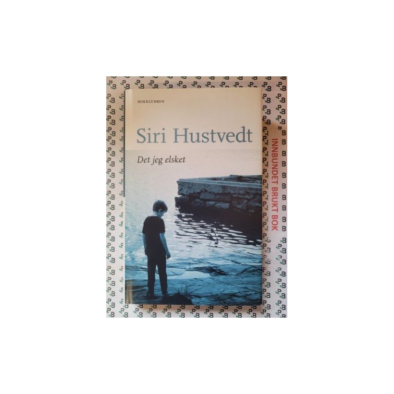 Siri Hustvedt - Det jeg elsket