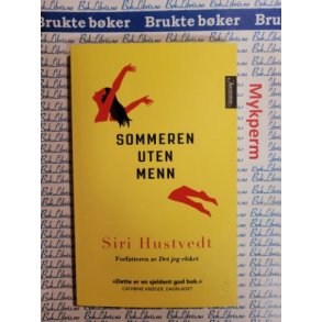 Siri Hustvedt - Sommeren uten menn (Heftet)
