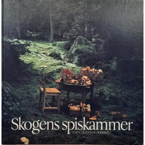 Skogens spiskammer Veien til br og soppriket