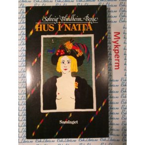 Solveig Blindheim Berge - Hus i natta