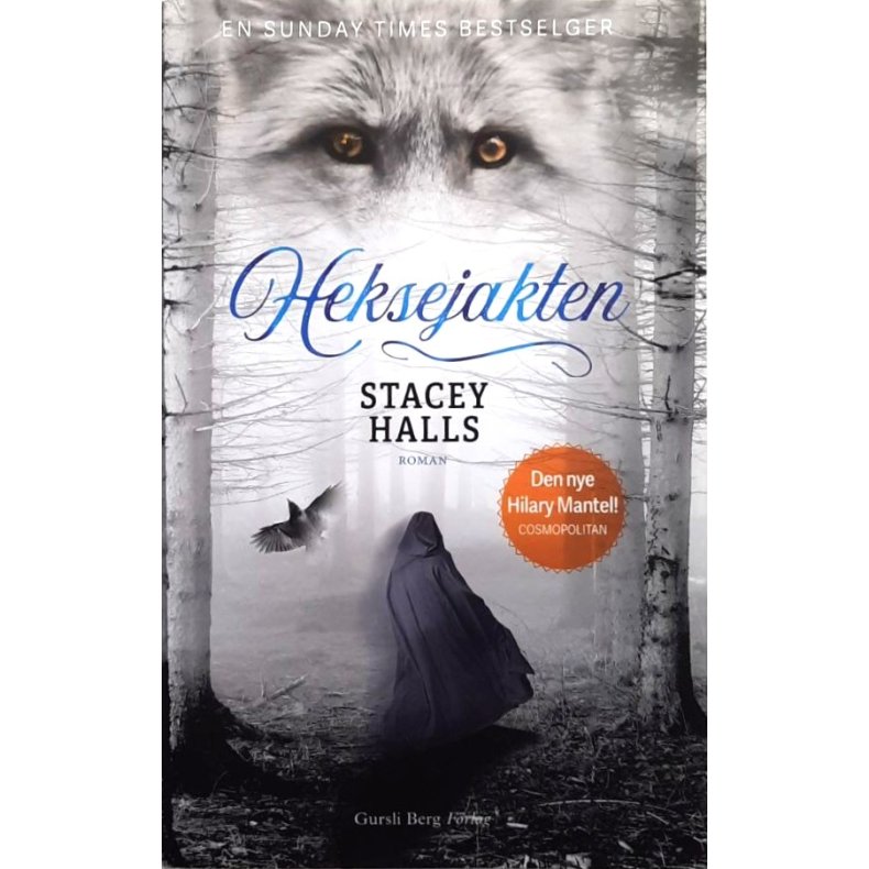 Stacy Halls - Heksejakten - Innbundet