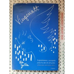 Stein Dahl Mathisen - Vingenatt - Engleskikkelsen i europeisk poesi fra det 20. rhundre