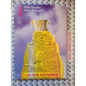 Stein Gauslaa og Stein B Hauglid - Vi - en bok om ledere