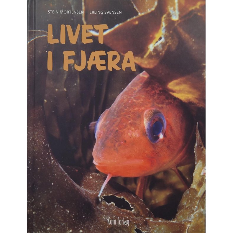 Stein Mortensen - Livet i fjra