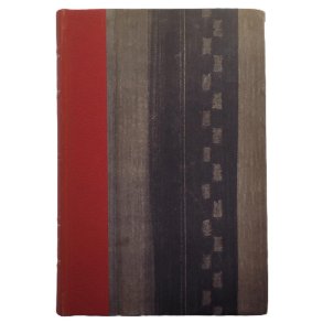 Stein Riverton - Fenomenet Robert Robertson