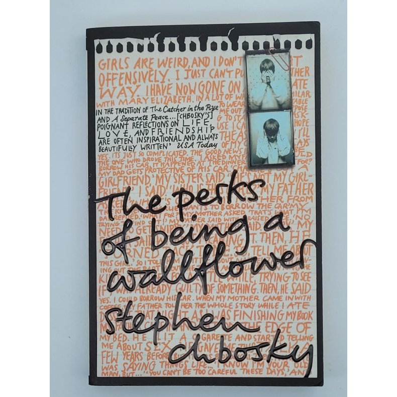 Stephen Chbosky - The Perks of Being A Wallflower (Mykperm)