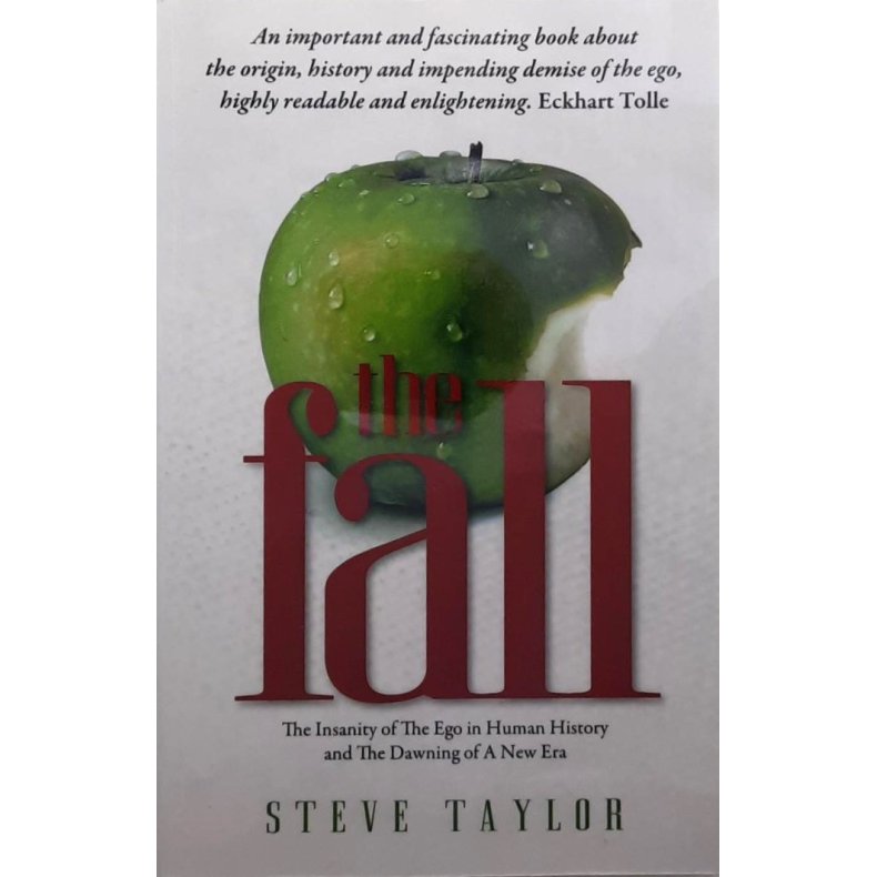 Steve Taylor - The Fall
