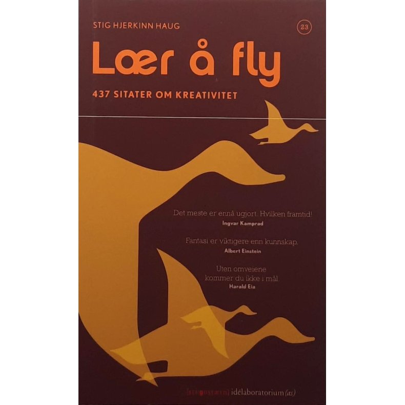 Stig Hjerkinn Haug - L�r � fly (Heftet)