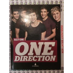 Stine Bdker Nielsen - Alt om One Direction