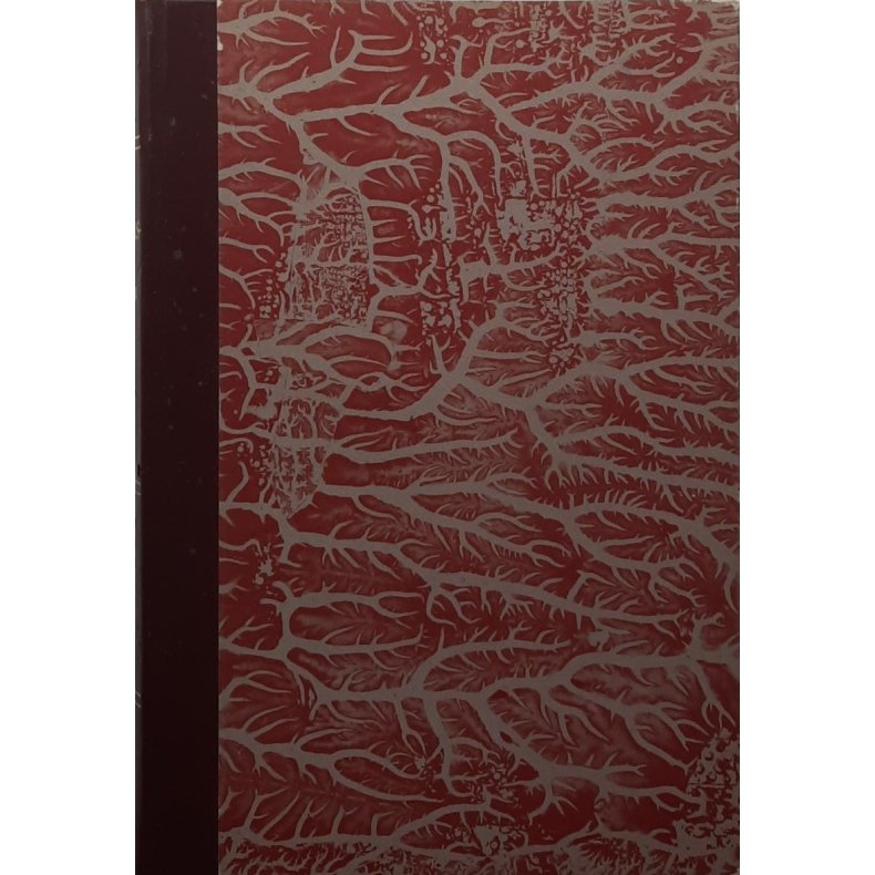 Stjrdalsboka - Gards- og slektshistorie Merker Herred Bind IV Del II