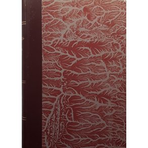 Stj�rdalsboka - Gards- og slektshistorie Mer�ker Herred Bind VI Del. I
