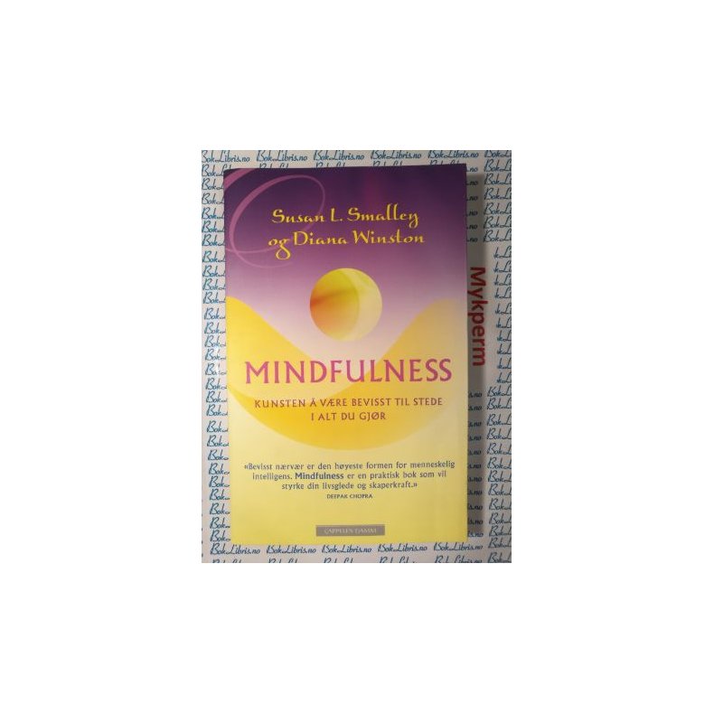 Susan L. Smalley og Diana Winston - Mindfulness