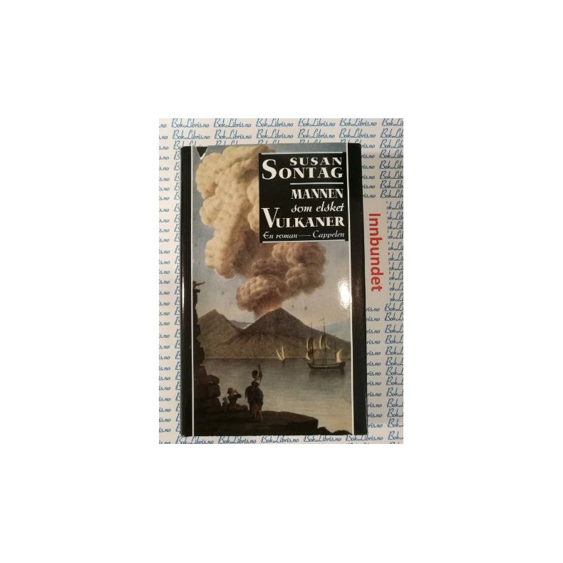 Susan Sontag - Mannen som elsket vulkaner