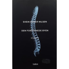 Svein Roger Nilsen - Den forstenede byen