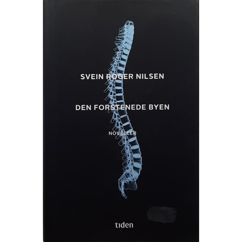 Svein Roger Nilsen - Den forstenede byen