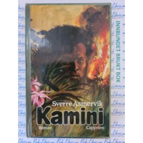 Sverre Asmervik - Kamini