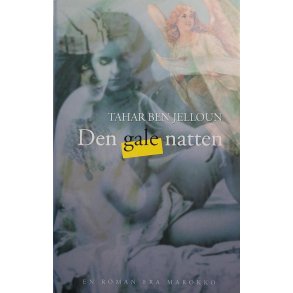 Tahar Ben Jelloun - Den gale natten