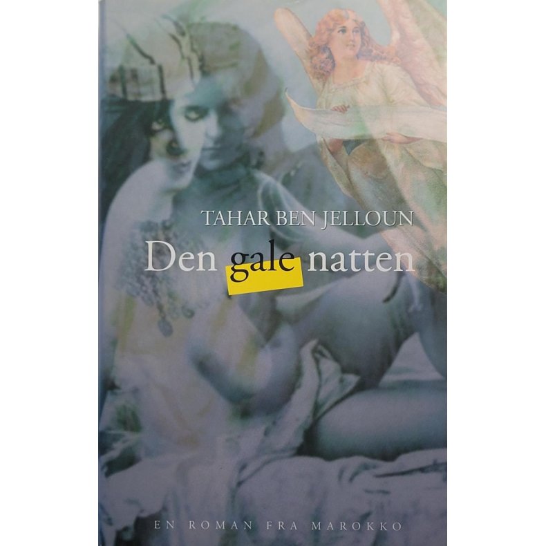 Tahar Ben Jelloun - Den gale natten