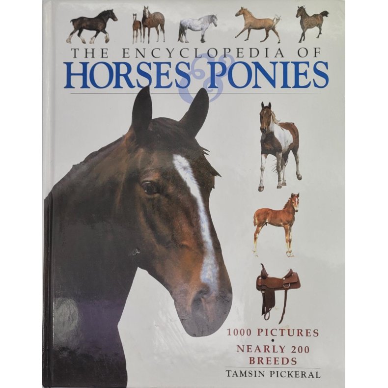 Tamsin Pickeral - The Encyclopedia of Horses &amp; Ponies