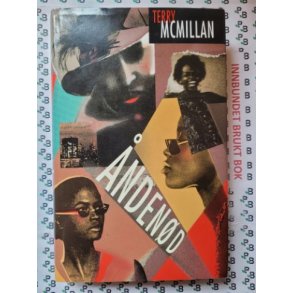 Terry Mcmillan - ndend