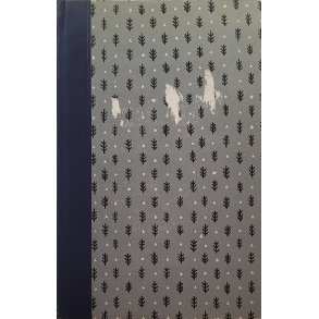 Theodore Dreiser - Sster Carrie 2