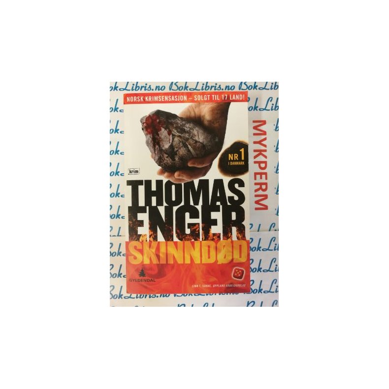 Thomas Enger - Skinndd (P)