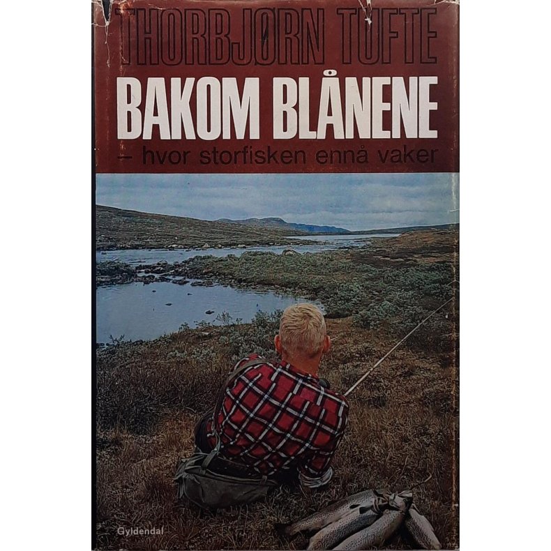 Thorbjrn Tufte - Bakom blnene (Innbundet)