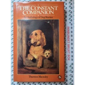 Thurston Macauley - The Constant Companion