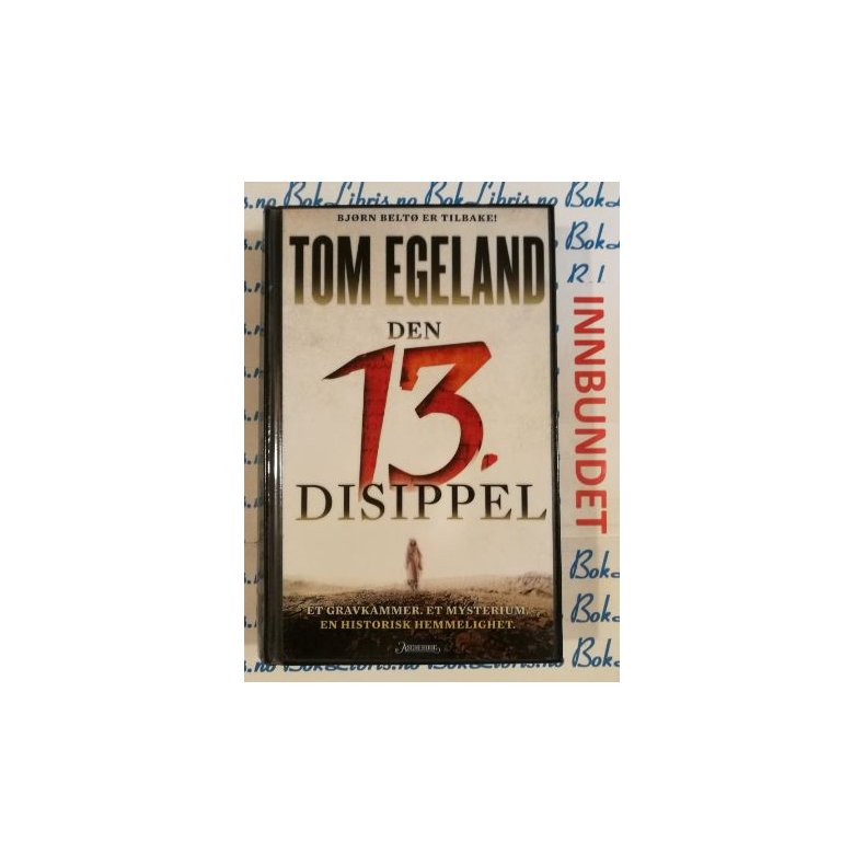 Tom Egeland - Den 13. disippel (I)