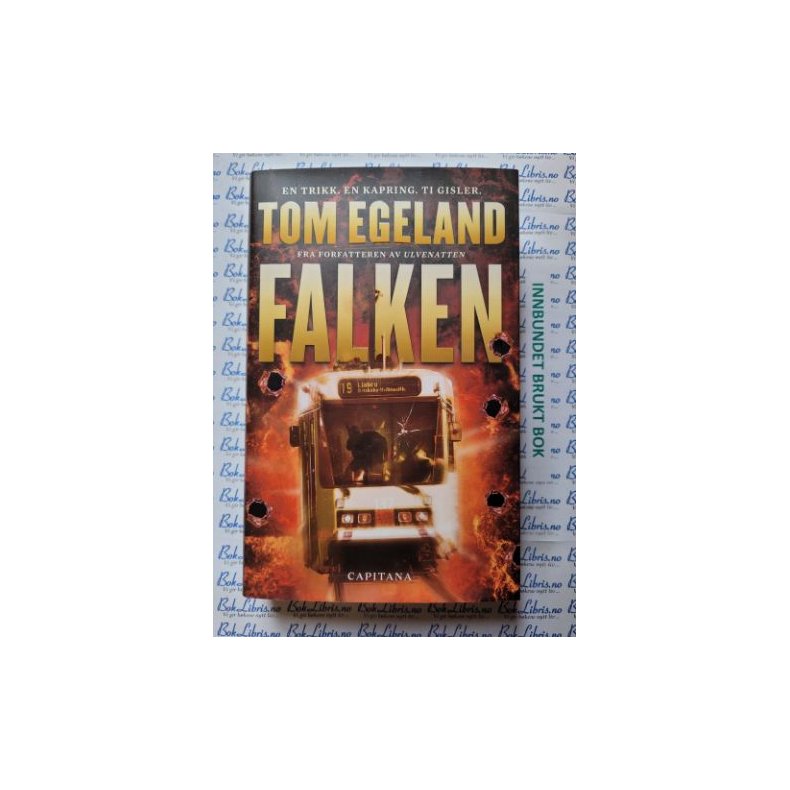 Tom Egeland - Falken (I)