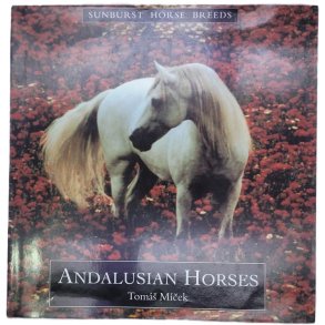 Tomas Micek - Andalusian Horses