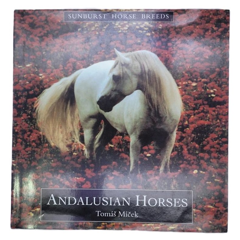 Tomas Micek - Andalusian Horses