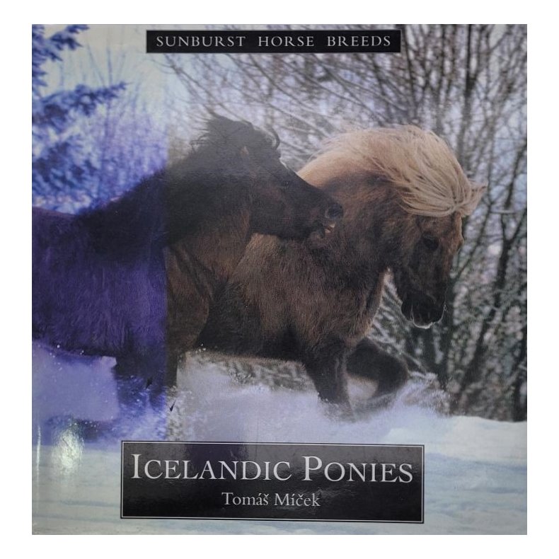 Tomas Micek - Icelandic ponies