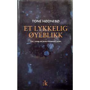Tone H�dneb� - Et lykkelig �yeblikk - Innbundet