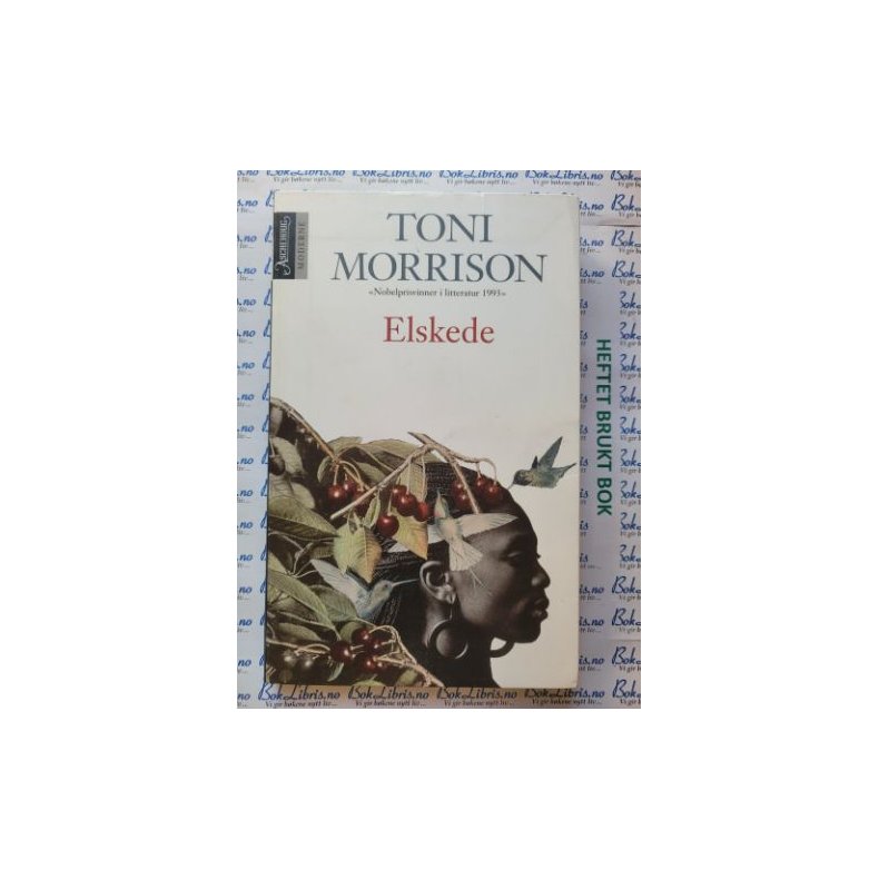 Toni Morrison - Elskede (Mykp)